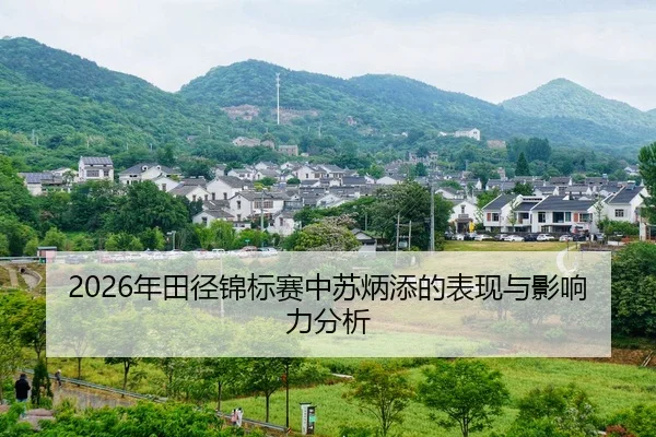 nian-tian-jing-jin-biao-sai-zhong-su-bing-tian-de-biao-xian-yu-ying-xiang-li-fen-xi-2-711.jpg