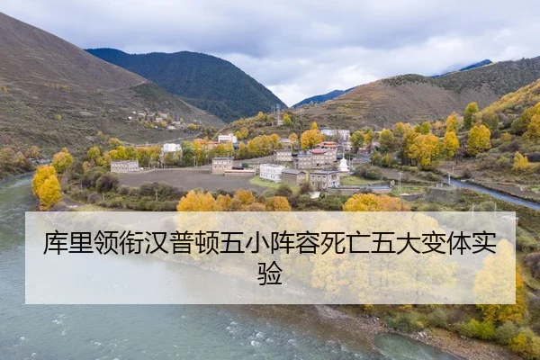 ku-li-ling-xian-han-pu-dun-wu-xiao-zhen-rong-si-wang-wu-da-bian-ti-shi-yan-2-255.jpg