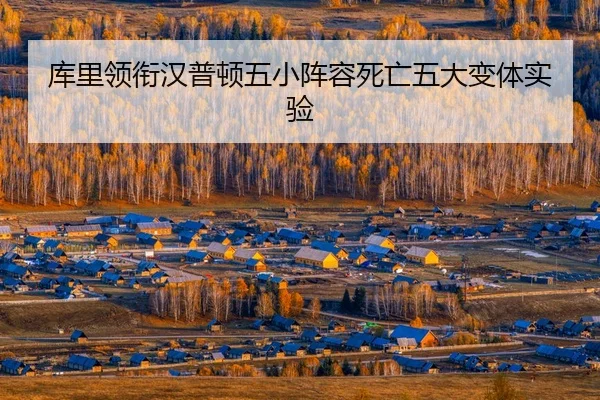 ku-li-ling-xian-han-pu-dun-wu-xiao-zhen-rong-si-wang-wu-da-bian-ti-shi-yan-3-931.jpg