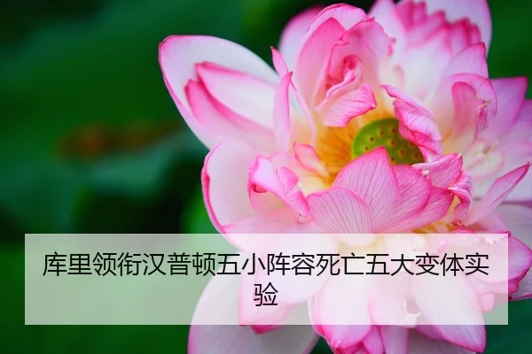 库里领衔汉普顿五小阵容死亡五大变体实验