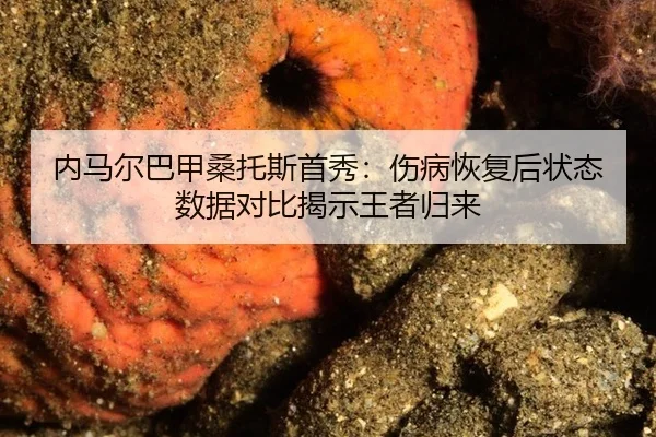 内马尔巴甲桑托斯首秀：伤病恢复后状态数据对比揭示王者归来