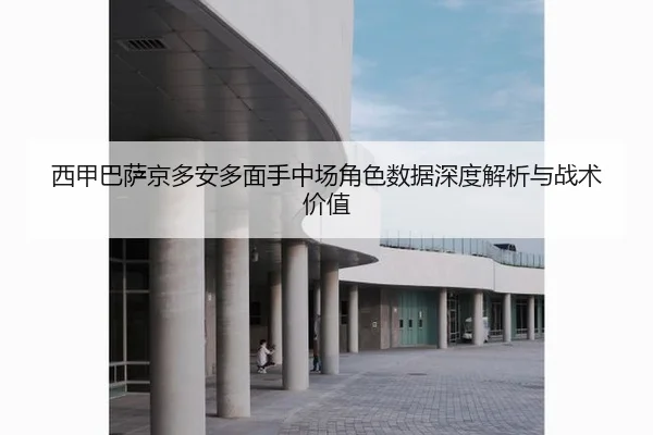 xi-jia-ba-sa-jing-duo-an-duo-mian-shou-zhong-chang-jue-se-shu-ju-shen-du-jie-xi-yu-zhan-shu-jia-zhi-3-421.jpg