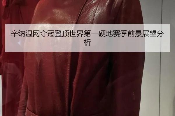 辛纳温网夺冠登顶世界第一硬地赛季前景展望分析
