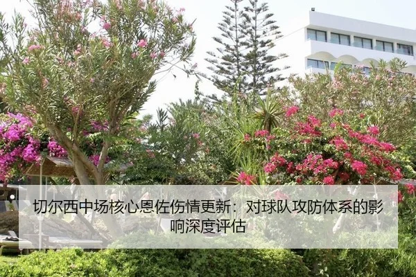 切尔西中场核心恩佐伤情更新：对球队攻防体系的影响深度评估
