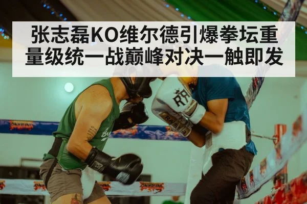 张志磊KO维尔德引爆拳坛重量级统一战巅峰对决一触即发