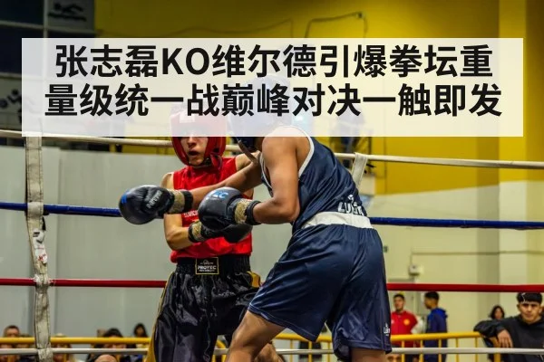 boxing match action